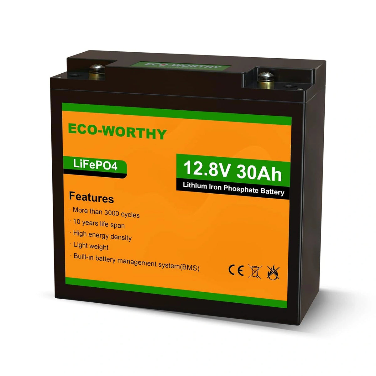 Akumulator ECO-WORTHY, 30 Ah, kolor czarny