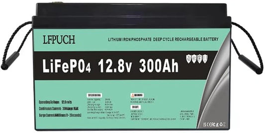 Akumulator Leisure, 300 Ah, 12 V, kolor zielony i czarny