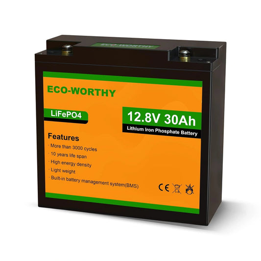 Akumulator ECO-WORTHY, 30 Ah, kolor czarny
